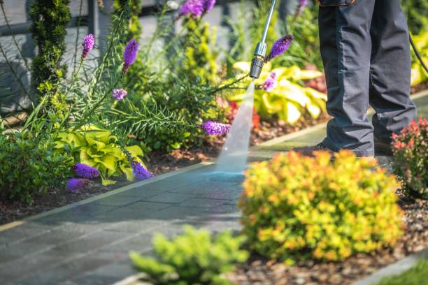 Cross City, FL  Pressure Washing Services Company